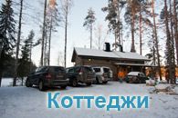 Коттеджи в Финляндии